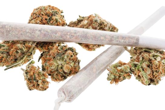 Kurzfassung Kurzfassung